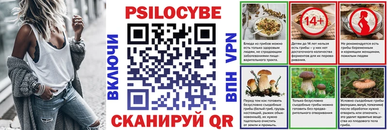 сколько стоит  Аркадак  даркнет формула  Псилоцибиновые грибы мицелий  мега  